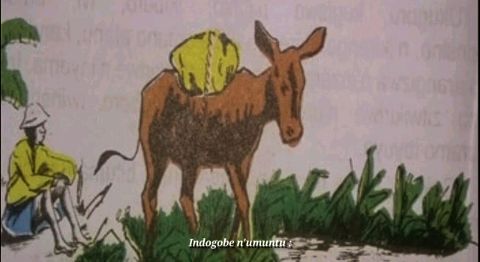 Indogobe Mu Rwanda INDOGOBE N'UMUNTU